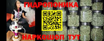 прущие крисы Краснознаменск
