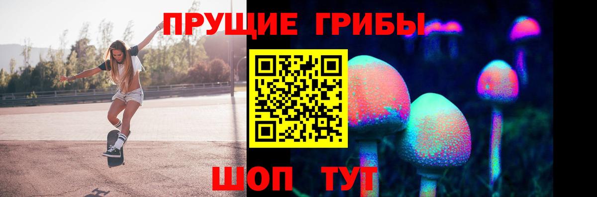 Тара  Галлюциногенные грибы прущие грибы  Псилоцибиновые грибы GOLDEN TEACHER  Вход с VPN 